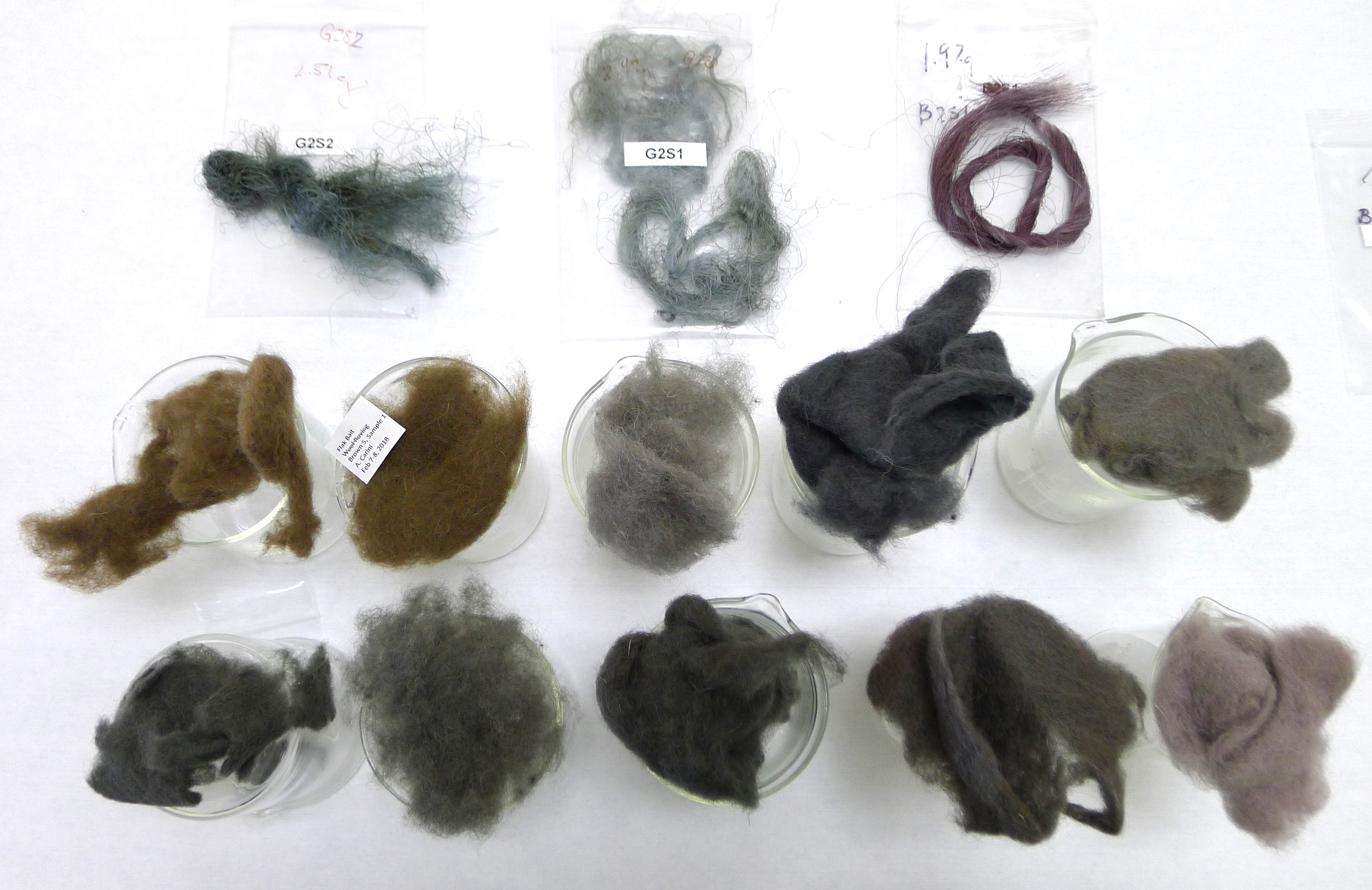 wool-fiber-natural-protein-fibers-textile-school